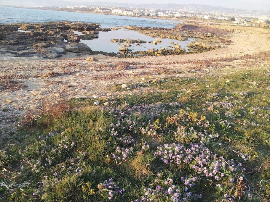 A Stone'S Throw From Everything Πάφος Εξωτερικό φωτογραφία